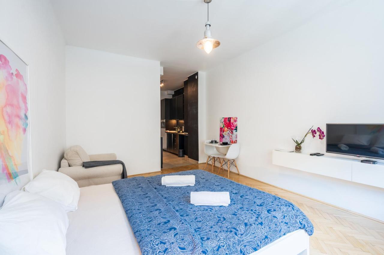 Bright Studio With Parliament View, Free Parking 布达佩斯 外观 照片
